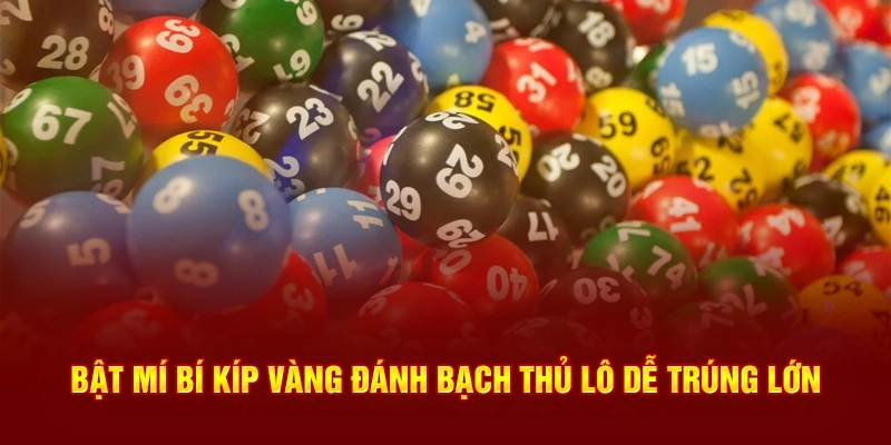 Bí kiếp vàng đánh bạch thủ lô từ cao thủ