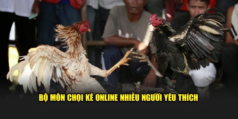 Bộ môn chọi kê online nhiều người yêu thích 