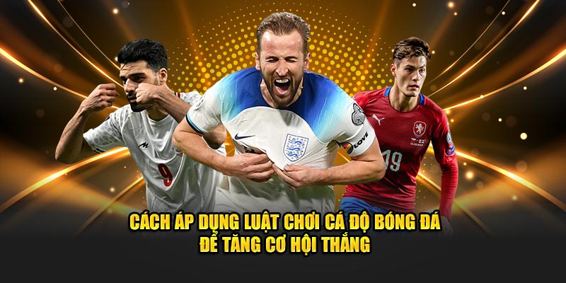luật chơi cá độ bóng đá để tăng cơ hội thắng