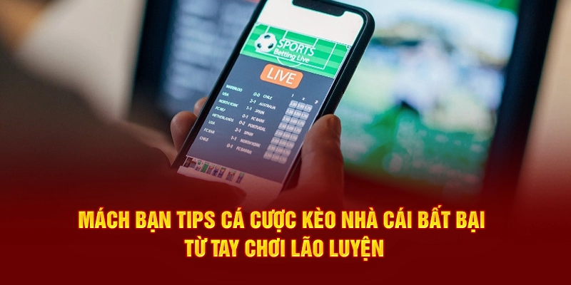 Mách bạn tips cá cược kèo nhà cái bất bại