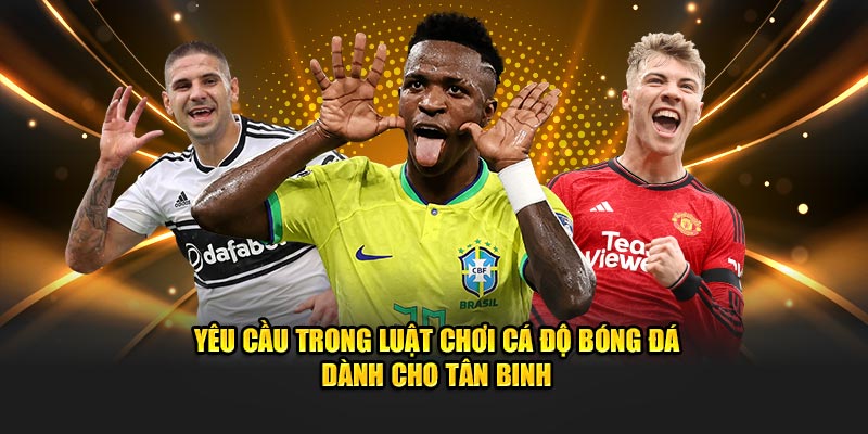 Luật chơi cá độ bóng đá dành cho tân binh