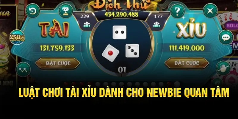 Luật chơi tài xỉu dành cho newbie quan tâm