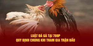 Luật đá gà 789p, quy định chung khi tham gia trận đấu