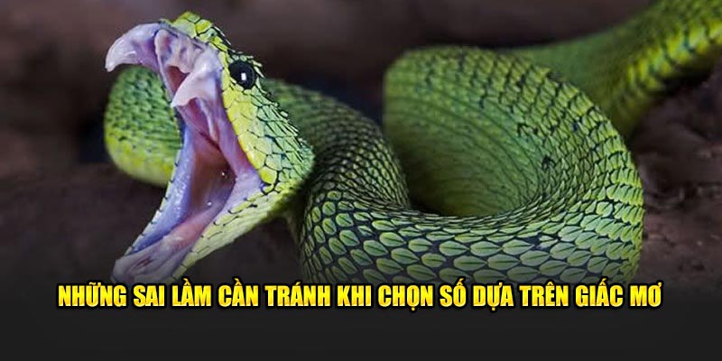 Những sai lầm cần tránh khi chọn số dựa trên giấc mơ