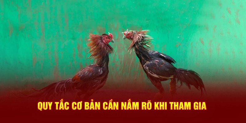 Quy tắc cơ bản khi tham gia cần nhớ