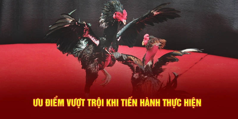 Ưu điểm vượt trội khi tiến hành thực hiện 