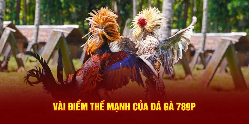 Vài điểm thế mạnh của đá gà 789P